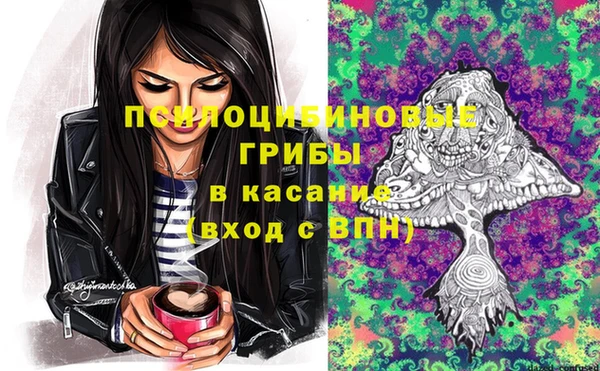 дурь Верея