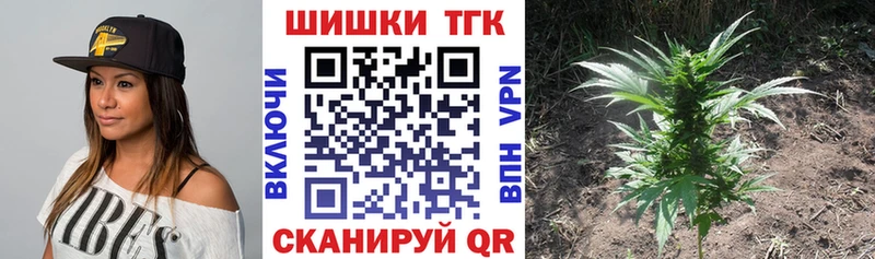 Марихуана сатива  маркетплейс состав  Качканар 